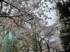 -UNIUNI(凯瑟琳广场店)