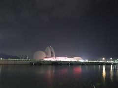 -野狸岛