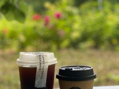 -2326 Coffee Roaster咖啡豆可选店(林肯公园店)