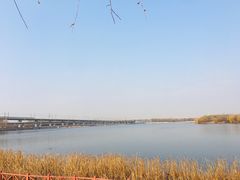 -丁香湖公园