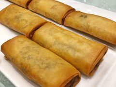 鸡丝炸春卷-鹅城