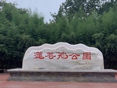 -莲花池公园