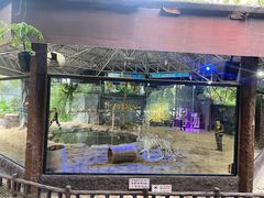 -清迈夜间动物园