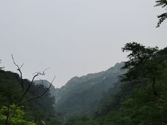 -泰山红门国际青年旅舍