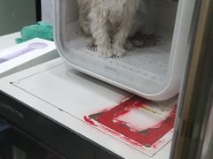 -四月宠物医院·猫专科·心脏专科·内科(转塘店)