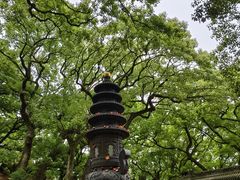 -普陀山风景名胜区-法雨禅寺