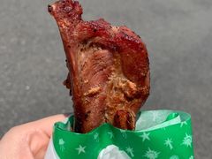 -飞天翼龙