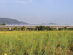 -光明小镇欢乐田园