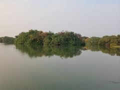 -大湾区中央湿地公园