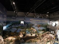 -自贡恐龙博物馆