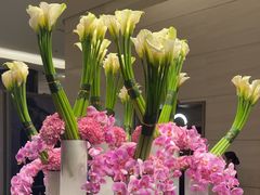 -上海波特曼丽思卡尔顿酒店