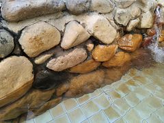 -汕头莲花山度假村温泉