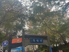 -国生茶庄·地道农家菜团建活动