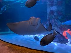 -沈阳海洋探索中心