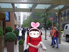 -Le Bernardin