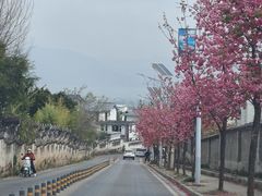 -苍山感通索道
