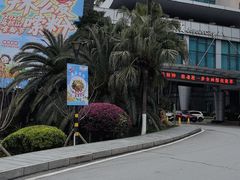 -圣爵菲斯大酒店(长沙世界之窗店)