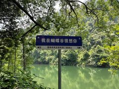 -鼎湖山风景区