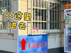 -单家老院·院子里的青岛菜(沙子口店)