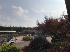-东平国家森林公园