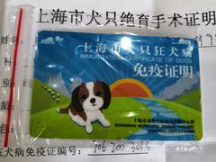 -顺强宠物诊所·狂犬免疫·夜诊·骨科(嘉定店)