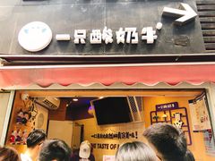 门面-一只酸奶牛(八一路店)