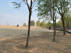 -东郊湿地公园