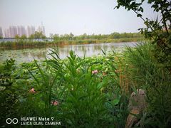 -天津东丽湖风景区