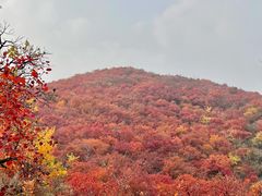 -周口店坡峰岭风景区