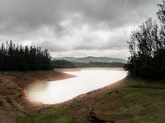 -维乐口腔医院(星海湾分院)