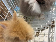 -怪兽屋·羊驼·猫咖·狗咖(俊华广场店)