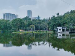 -晓港公园