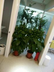 -西美医疗美容门诊部