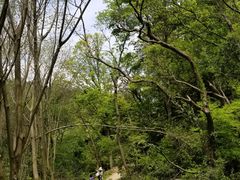 -青龙山国家森林公园