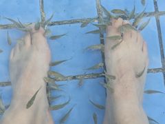 -太白山御龙湾温泉