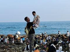 -广东惠东海龟国家级自然保护区