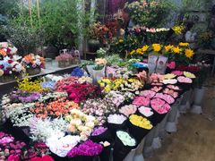 -双季花艺园艺市场(浦东店)