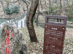 -句容茅山景区