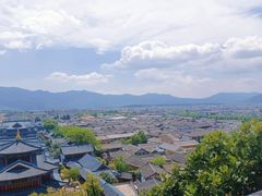 -木王宴语·野生鲜菌火锅(玉河店)