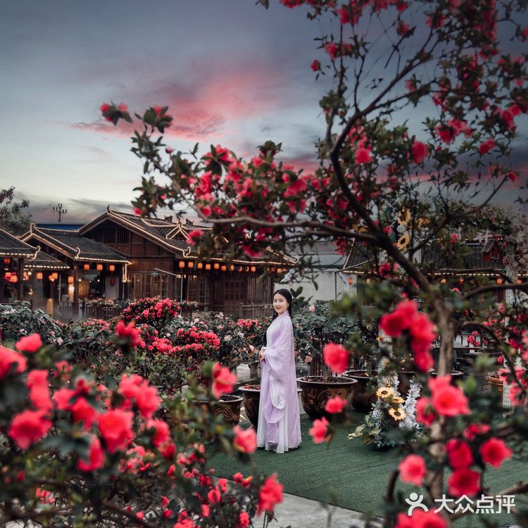 重庆小众拍照地｜隐藏在南山上的花海火锅公园