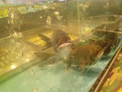 -王庄阿咪海鲜大排档(象园店)