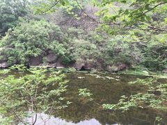 -北京植物园南门售票处