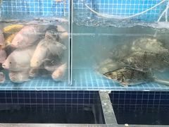 -禄源公·老莞诚饭店