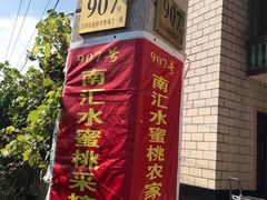 -南汇水蜜桃采摘(大团店)