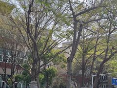 -厦门大学(思明校区)