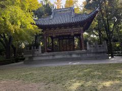 -汇龙潭