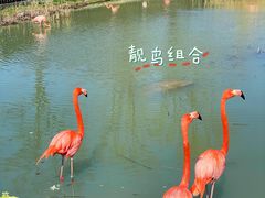 -上方山森林动物世界