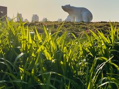 -chi K11艺术空间展览厅