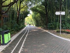 -苏州河梦清园环保主题公园