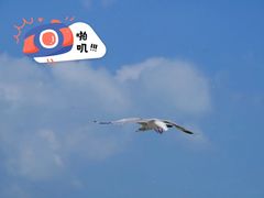 -青海湖二郎剑景区